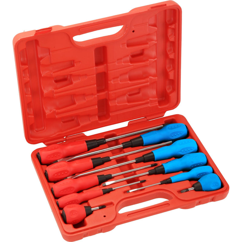 Screwdriver Set Phillips & Slotted (10-Piece)
